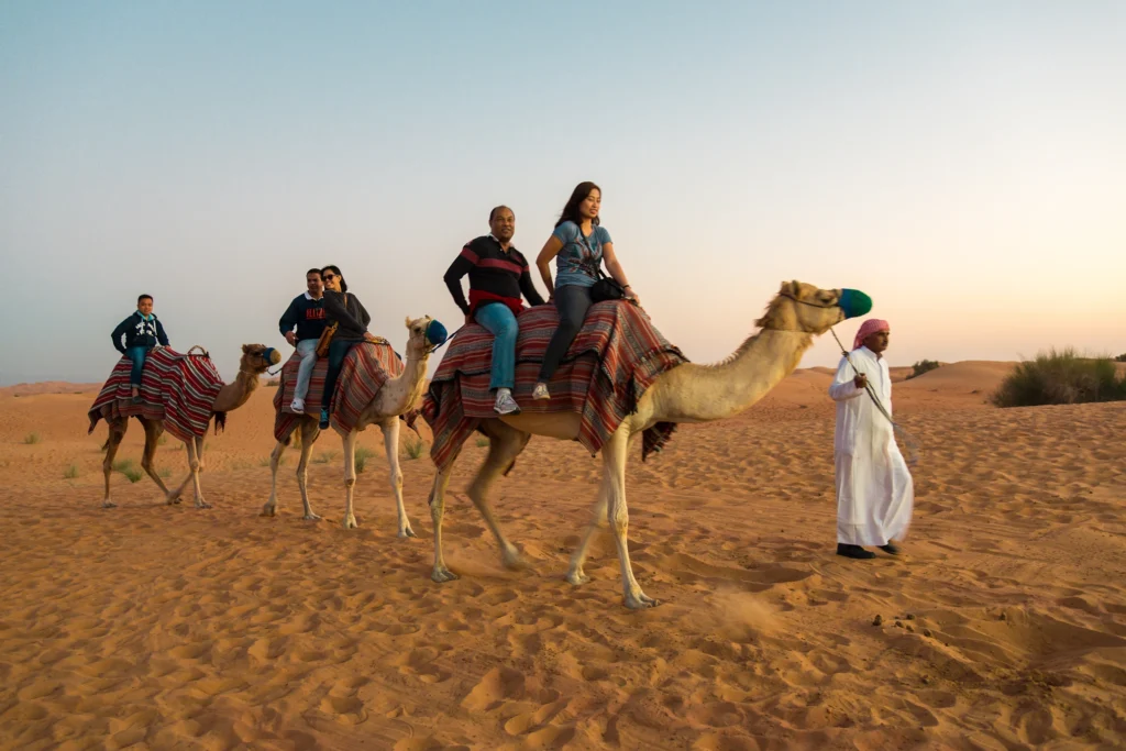 Dubai Desert and Skyline Escape