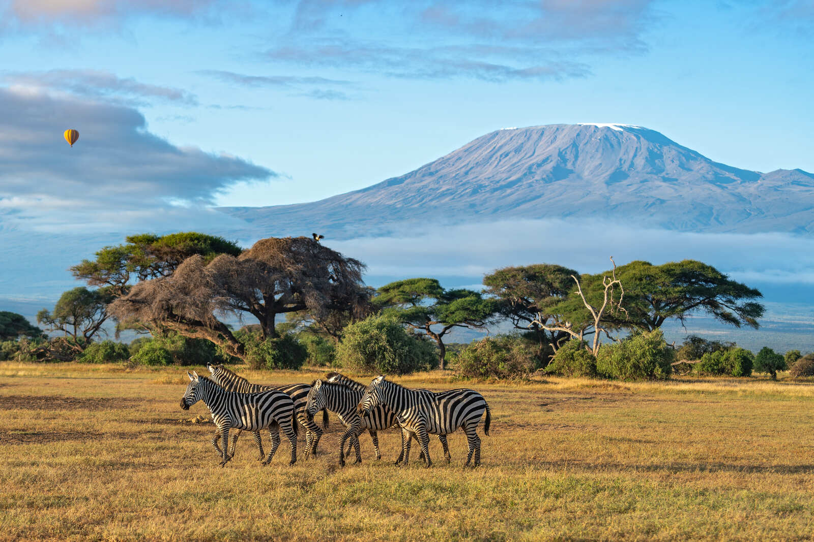 Soul of Kenya